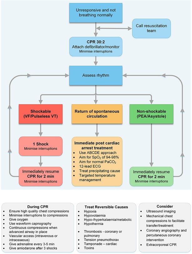 G2015 Adult ALS algorithm