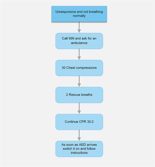 G2015 Adult BLS algorithm