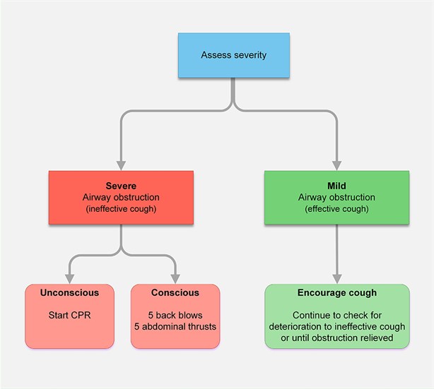 G2015 Adult Choking Treatment algorithm