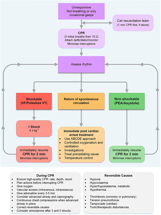 G2015 Paediatric ALS algorithm