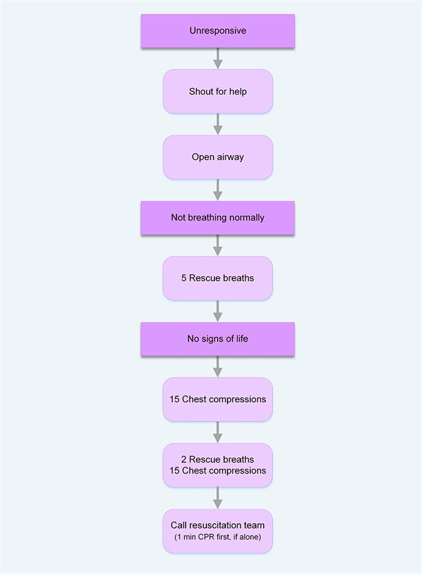 G2015 Paediatric BLS algorithm