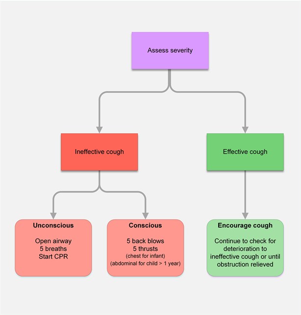 G2015 Paediatric Choking Treatment algorithm