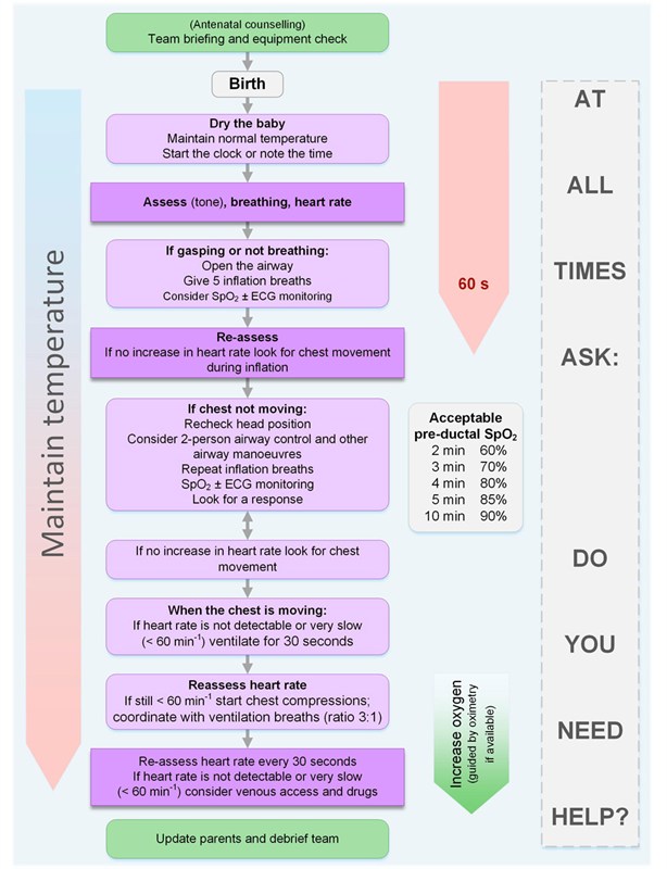 G2015 NLS algorithm