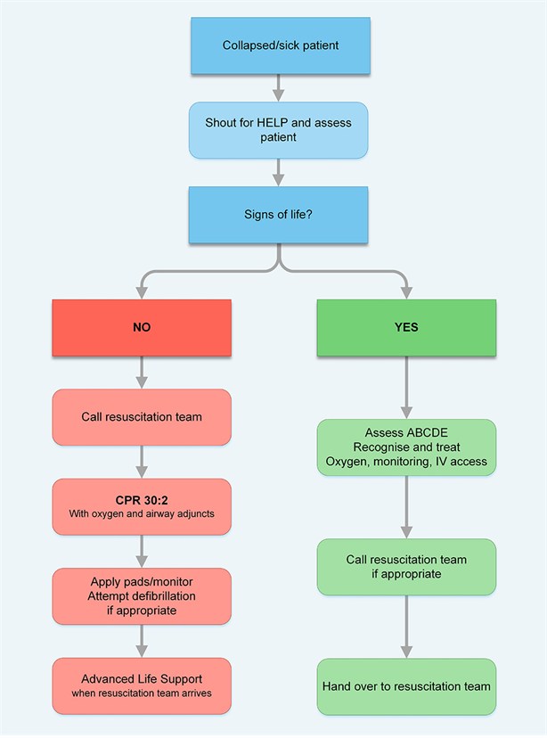 G2015 In-hospital Resuscitation algorithm