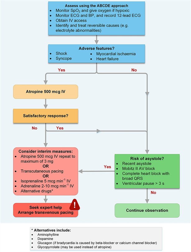 G2015 Adult bradycardia algorithm