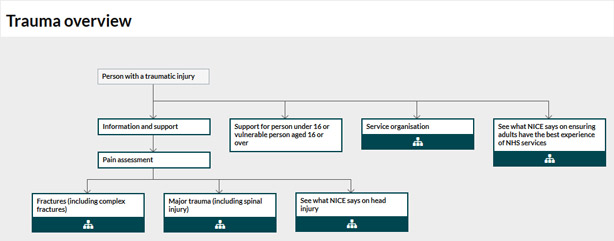 NICE Quality Standard - Trauma